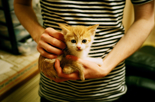 传统民族摔跤比赛，激情对决彰显民族特色，民族式摔跤种类