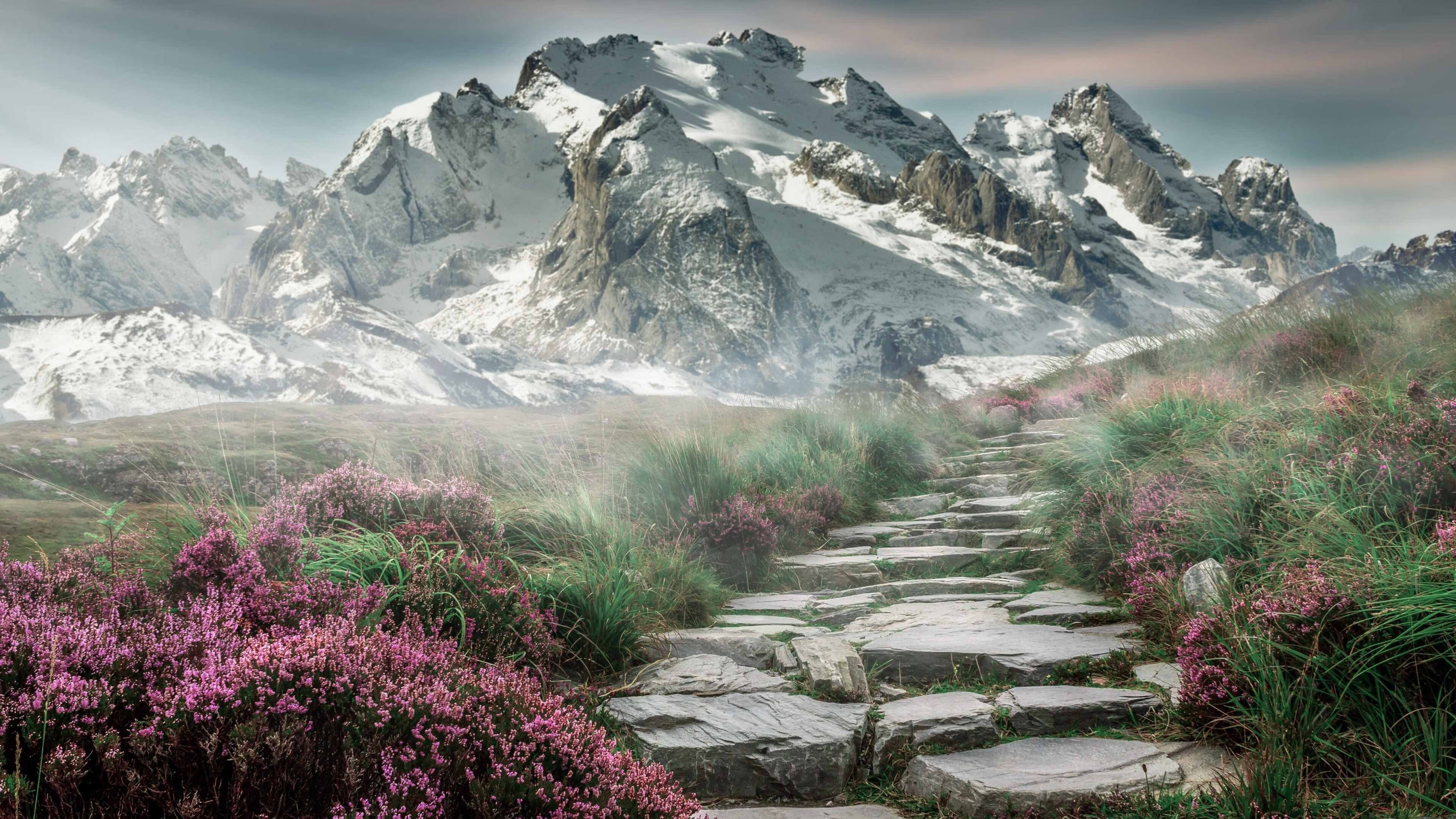 新兴市场：亚洲赛道成为焦点，亚洲新兴市场指数